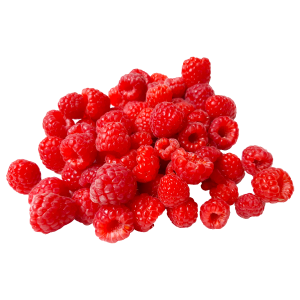 —Pngtree—raspberry_4992951